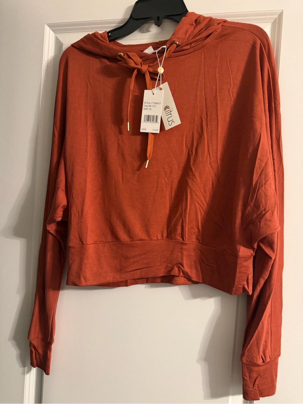 Modern Cropped Hooded Sweatshirt in Rust by Citrus